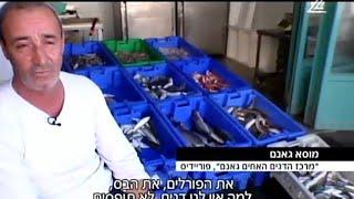 برنامج تلفزيوني يستعرض أوضاع سوق الأسماك في البلاد- الفريديس نت